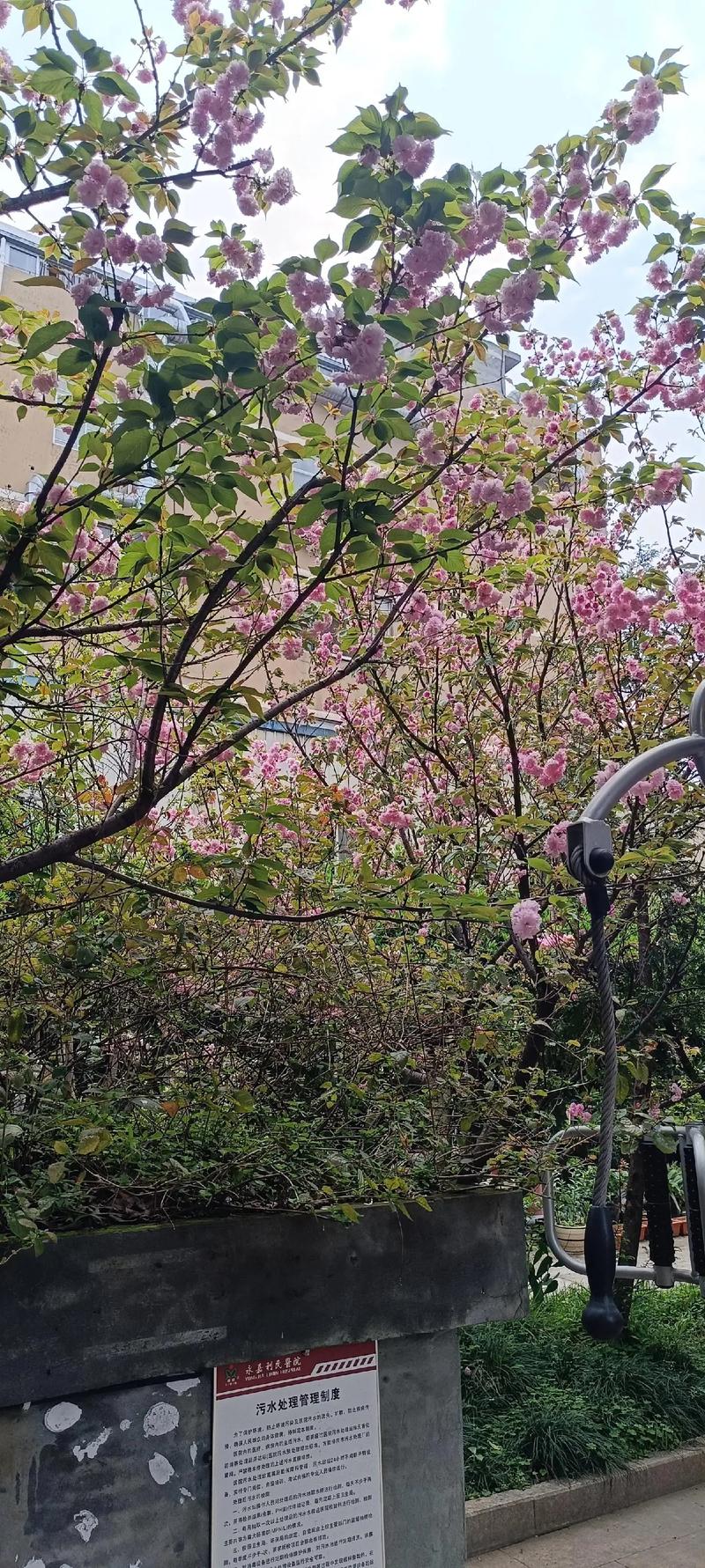 健康体检套餐